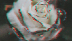 کلیپ برای استوری.کلیپ.غمگین.کل...