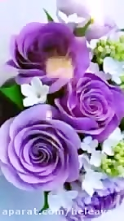 کلیپ شاد آهنگ شاد