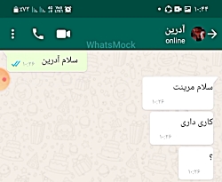 چت مرینت و آدرین عاشقانه
