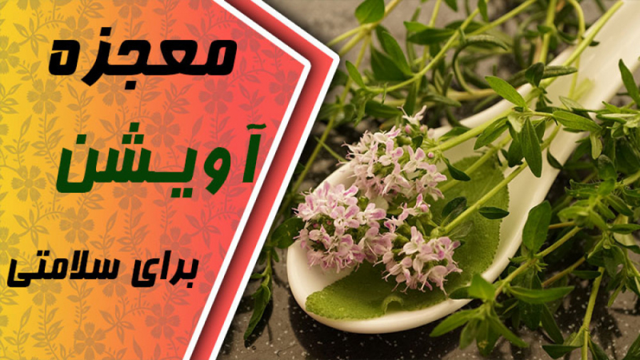 معجزه آویشن برای سلامتی ترمیم سوختگی