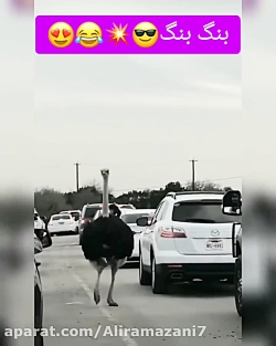 کلیپ طنز