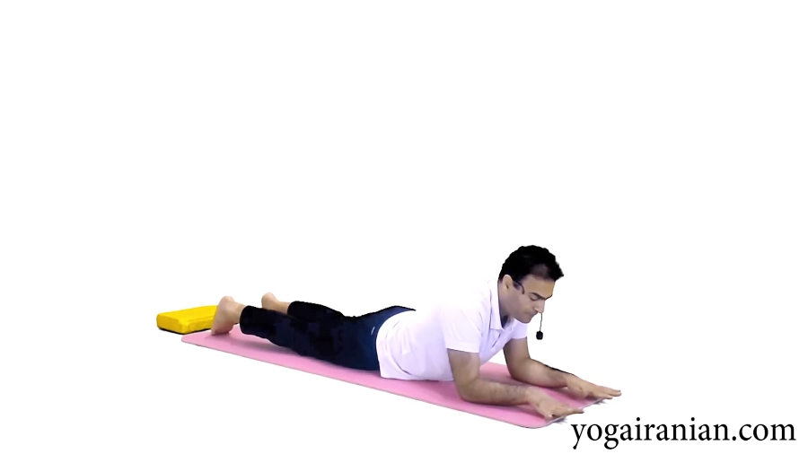 یوگا ولاغری   یوگا برای تناسب اندام  یوگا برای لاغر شدن