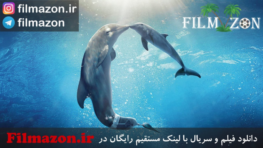 تیزر فیلم Dolphin Tale 2 (داستان دلفین ۲) 2014 زمان101ثانیه