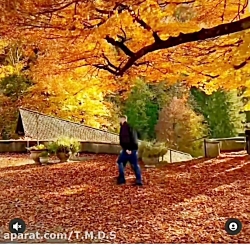 آهنگ شاد آهنگ عاشقانه