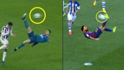 قیچی برگردان های زیبای مسی و ر...