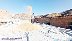 مستند چَمپا تقدیم حضورتان.