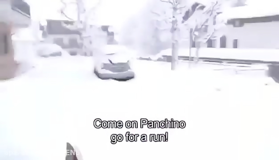 panchino go for a run