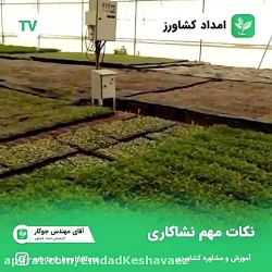 نکات مهم نشاکاری