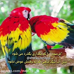آهنگ شاد بهنام بانی | بی خیال کل دنیا | کلیپ انرژی بخش | استوری شاد