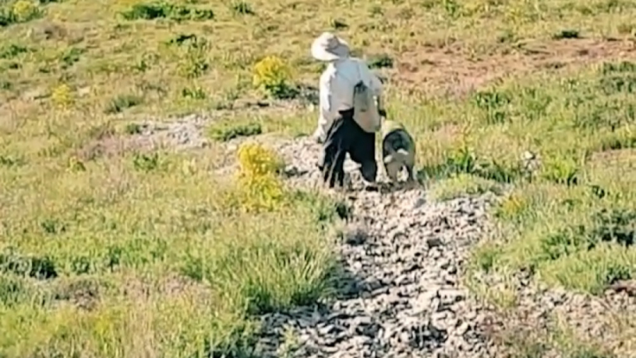 پوستر بزرگ