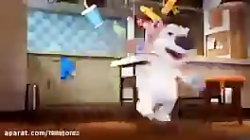 تام سخنگو و دوستان