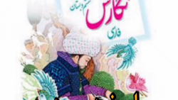 پاسخ نگارش درس دوم پنجره های ش...