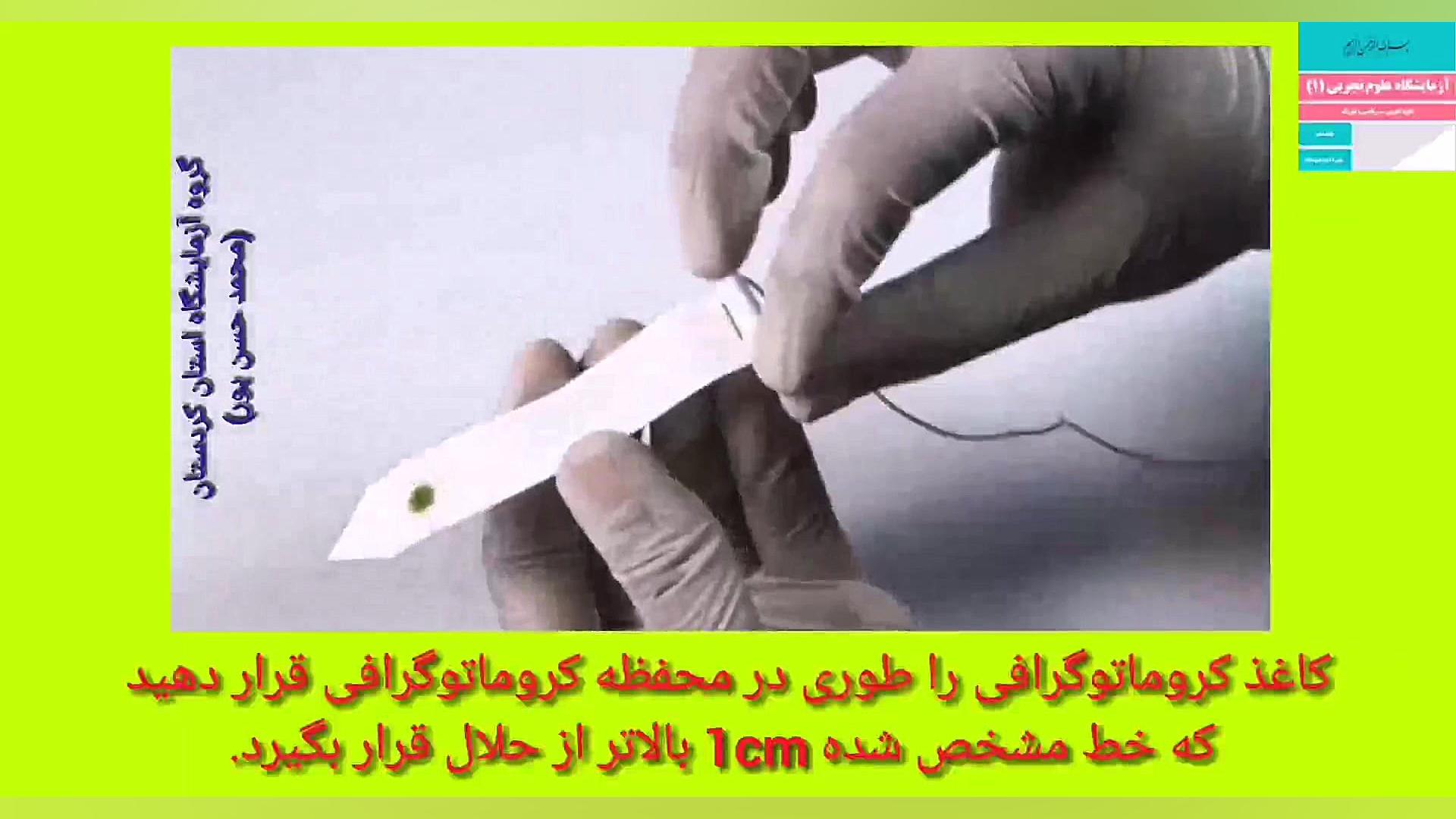 آزمایش کروماتوگرافی اسفناج پایه دهم پلاستیک لثه