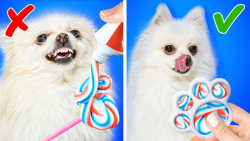 ترفندهایی که هر دوستدار حیوان...