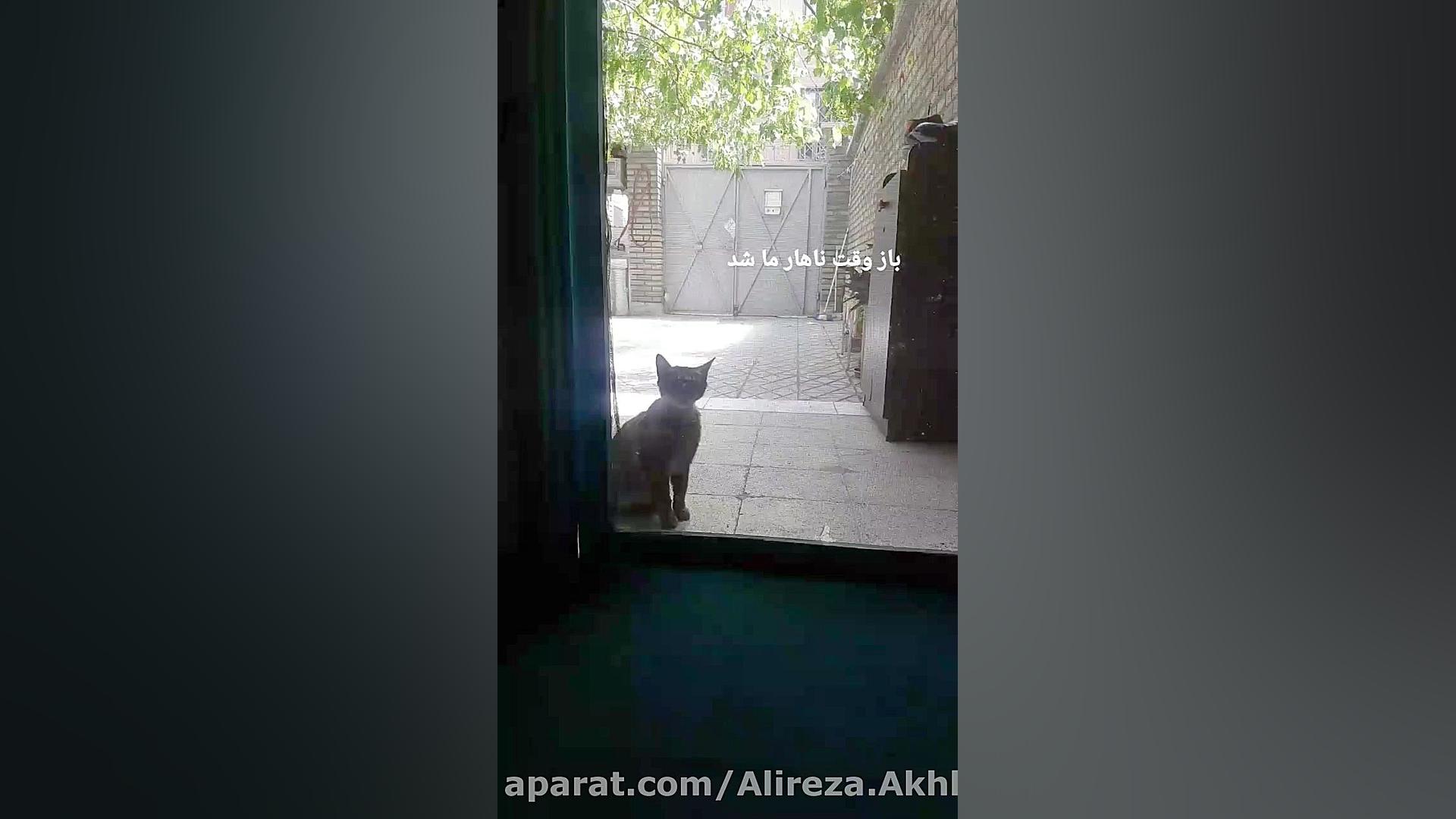 پوستر بزرگ
