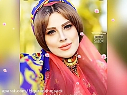 کلیپ دلنشین لری بختیاری اهنگ ب...