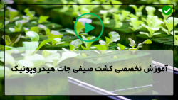 آموزش تصویری صیفی جات کشت هیدروپونیک-پرورش گوجه فرنگی با روش سیستم بسته