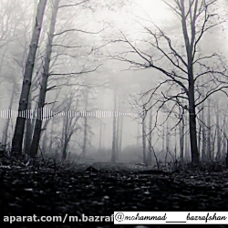 شعر نو با عنوان مرده پرستی از...