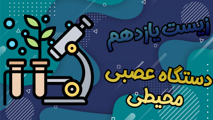 زیست یازدهم. فصل 1. دستگاه عصبی محیطی، بخش پیکری تزریق چربی