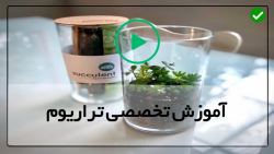 آموزش ساخت تراریوم - آموزش تراریوم با شن رنگی - ساخت تراریوم در بطری