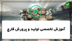 آموزش پرورش قارچ - آموزش کامل پرورش قارچ - پوشش برای افزایش قارچ