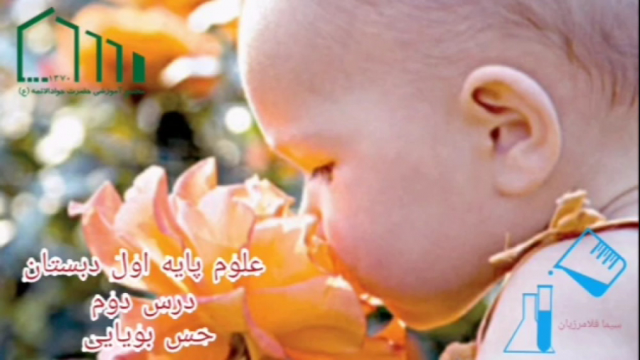 حس بویایی ویل اسمیت