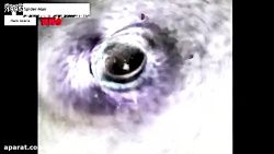 تمام ونوم ها