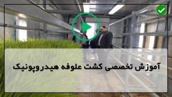 آموزش هیدروپونیک-سیستم  تولید کشت علوفه هیدروپونیک-پرورش گوجه فرنگی گلدانی