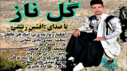 کلیپ لری / آهنگ لری احساسی گل ناز