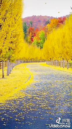 موسیقی و یک نکته