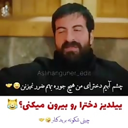 ستاره ی شمالی