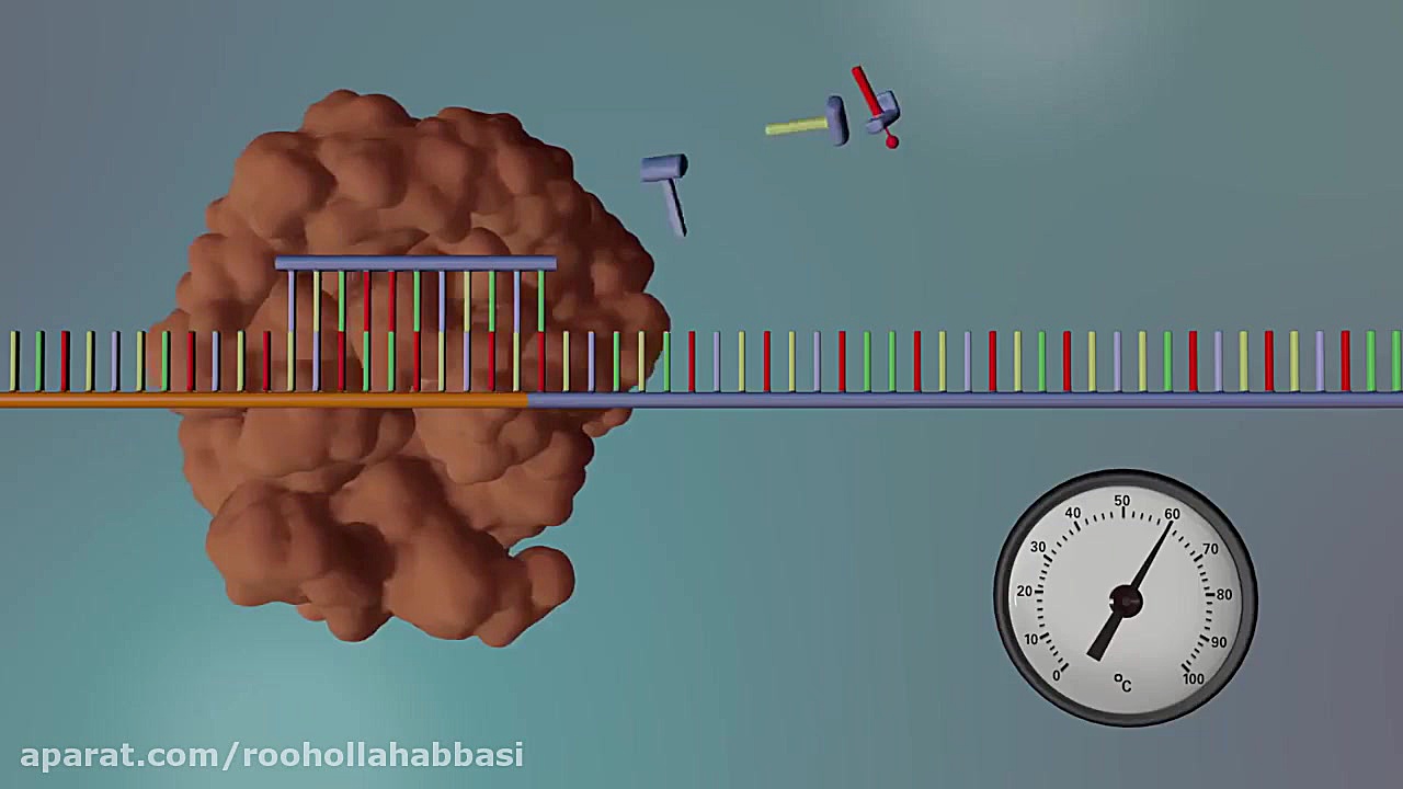Sangar Sequencing تزریق ژل