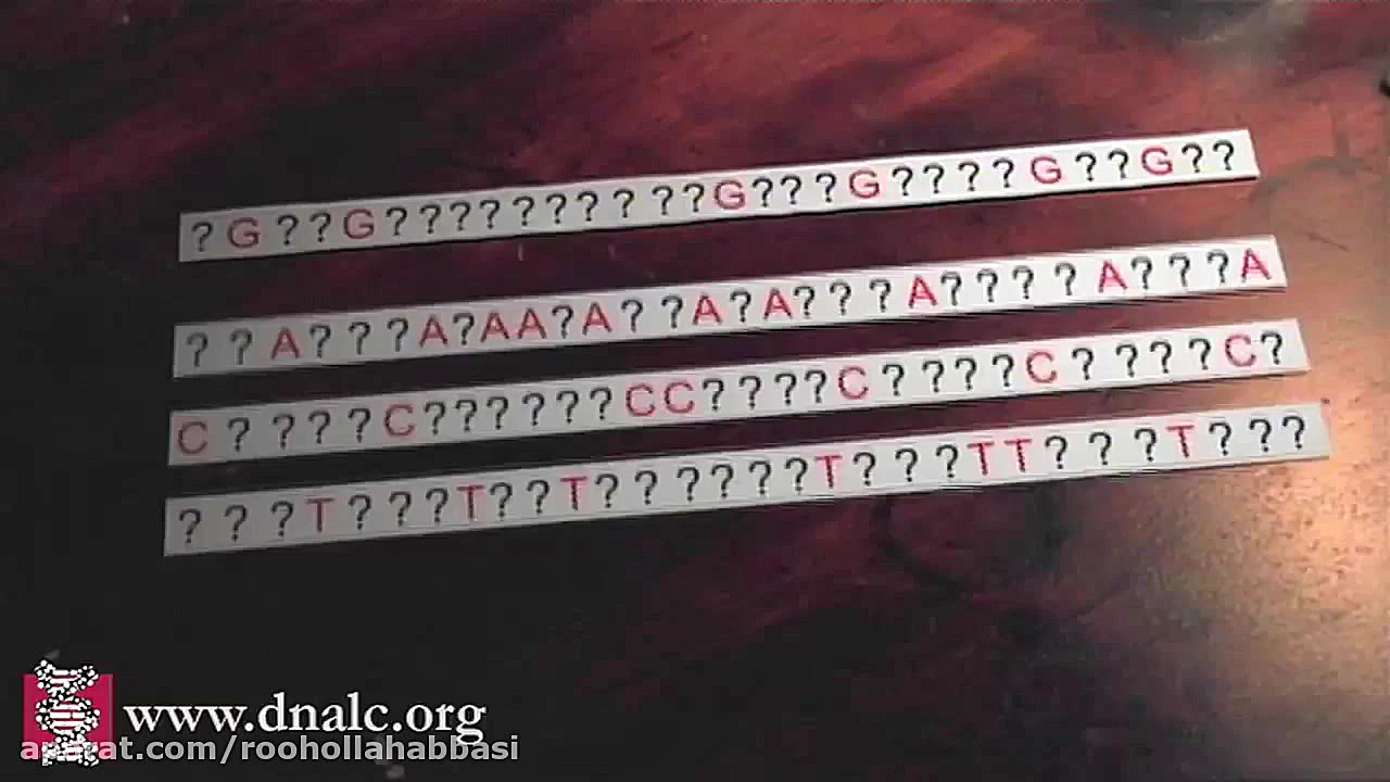 Sangar Sequencing جاستین بیبر