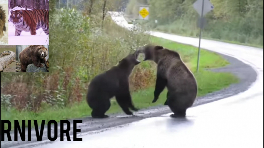 Влияние климатических изменений