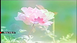 ترانه شاد &quot; گل &quot; با...