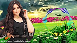 آهنگ شاد ارکستی ما میروم به بن...