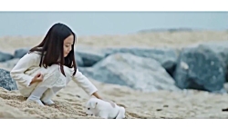 آهنگ خیلی غمگین ایرانی  بدون ت...