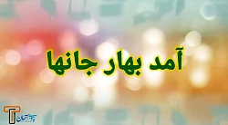 فتو کلیپ تولد حضرت محمد (ص)