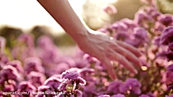 کلیپ فوق العاده زیبا تبریک میل...