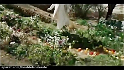 کلیپ تبریک ولادت پیامبر اسلام...