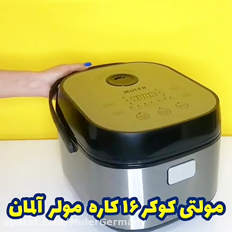 پلوپز رژیمی 16 کاره مولر 4033