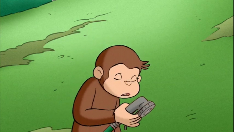 Curious Water to Ducks