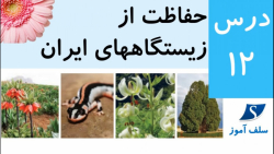 جواب فعالیت های اجتماعی هفتم درس 12 حفاظت از زیستگاههای ایران