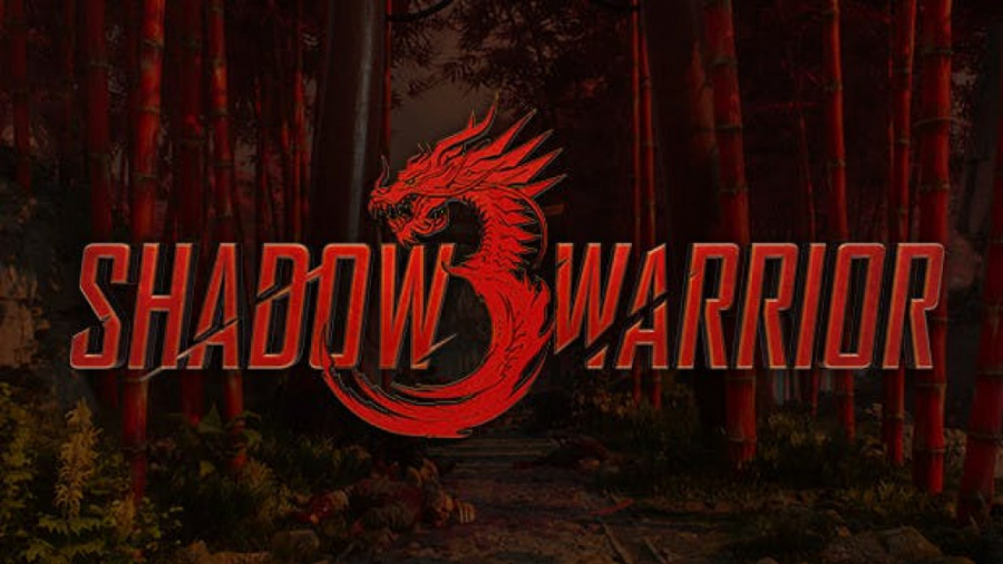 Warrior name. Shadow Warrior 3. ЛО Ванг Shadow Warrior. Shadow Warrior franchise. Shadow Warrior 3 логотип.