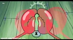 باب اسفنجی پرل فروشنده فالو=فا...