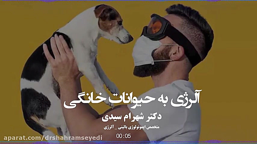 آلرژی به گربه چه علائمی دارد؟ دکتر شهرام سیدی متخصص آلرژی و ایمونولوژی