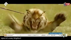 فیلم سینمایی اکشن هندی دوبله ف...