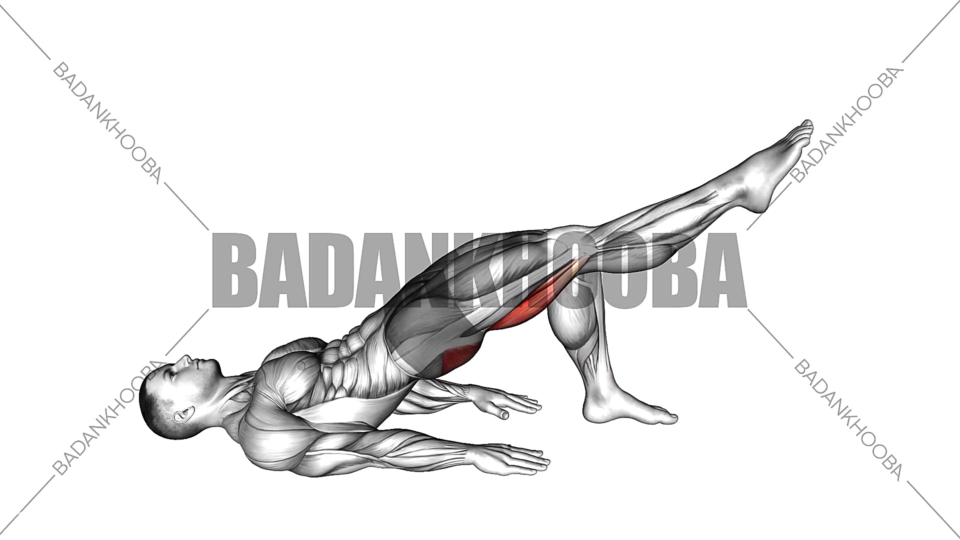 795- پل باسن روی زمین تک پاsingle leg bridge لیفت پیشانی