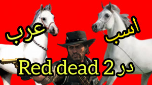 اسب عرب در Red dead 2