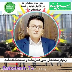 نقش موثر بادشکن ها در افزایش تولید و تبعات بی توجهی به آن